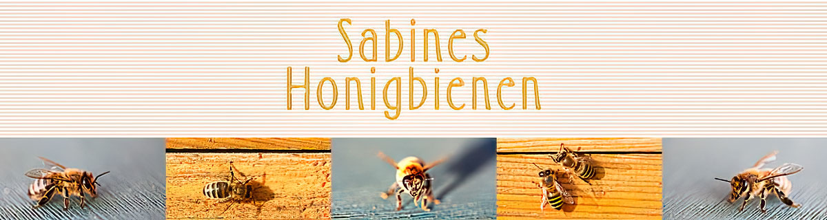 Sabines Honigbienen